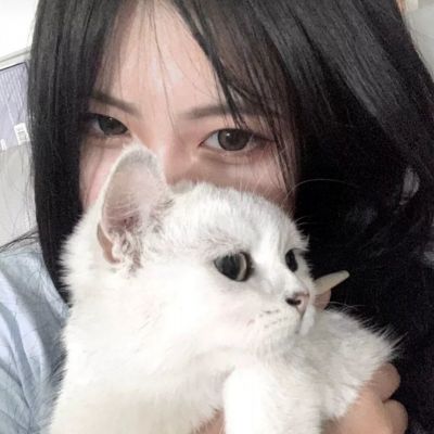 牛牛游戏网app下载