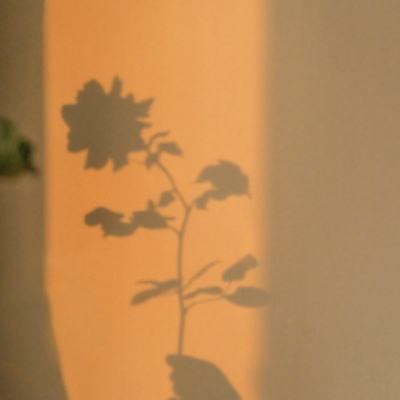 bat365官方网页版