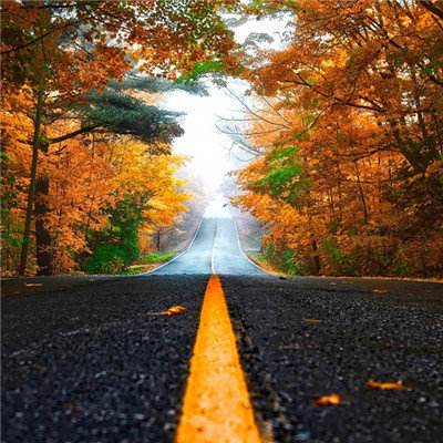 KU体育官方app下载