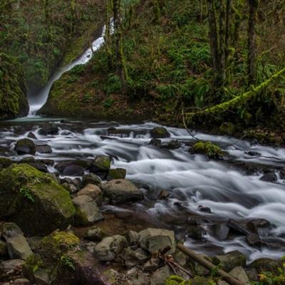 牛牛游戏网app下载