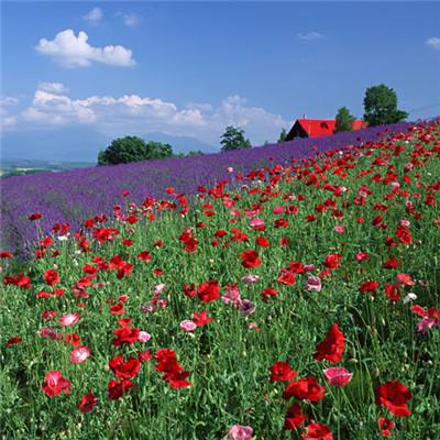 牛牛游戏网app下载截图